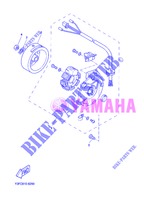 IGNITION для Yamaha STUNT SLIDER 2013