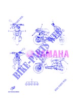 STICKER для Yamaha STUNT SLIDER 2013