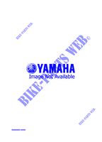 ALTERNATIVE ENGINE  для Yamaha VMAX 1995