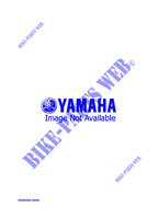 ALTERNATIVE ENGINE  для Yamaha VMAX 1995