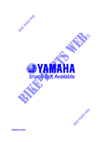 ALTERNATIVE FOR DRIVE для Yamaha SRX 1998