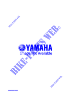 ALTERNATIVE FOR DRIVE для Yamaha VMAX 1998