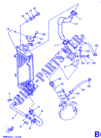 RADIATOR / HOSES для Yamaha DTR 1990